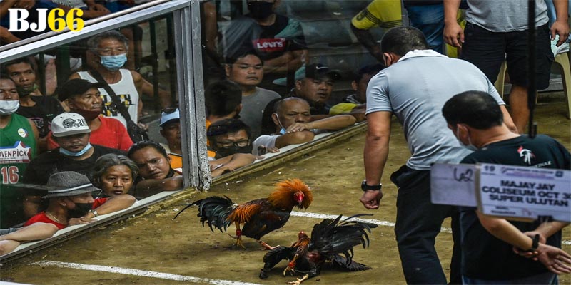 Bỏ túi trọn bộ những bí kíp hiệu quả theo góc nhìn 