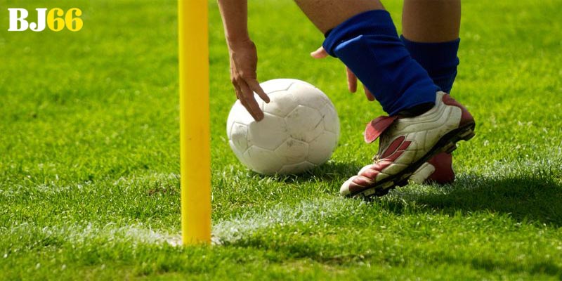 Các loại cược hay xuất hiện mà hội viên nên biết khi tham gia