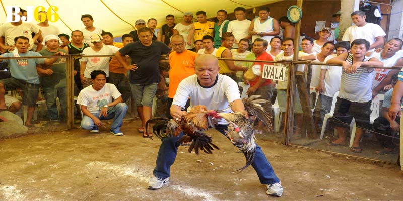 Lưu ý khi hội viên áp dụng hiệu quả nhất tại trang web